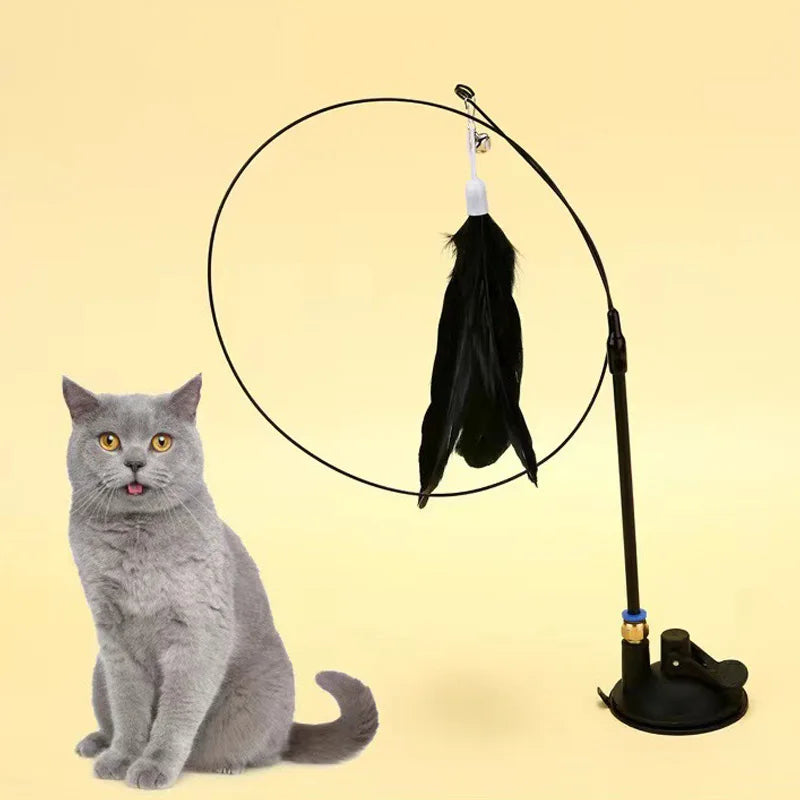 Cats Toys