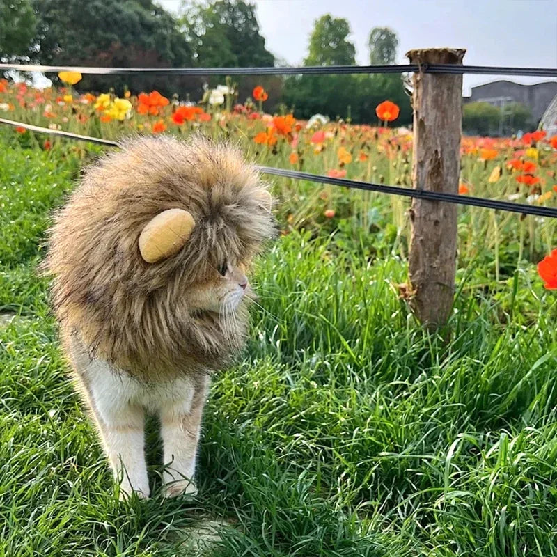 Cat Cosplay Dress Up Pet Hat Lion Mane for Cat Puppy